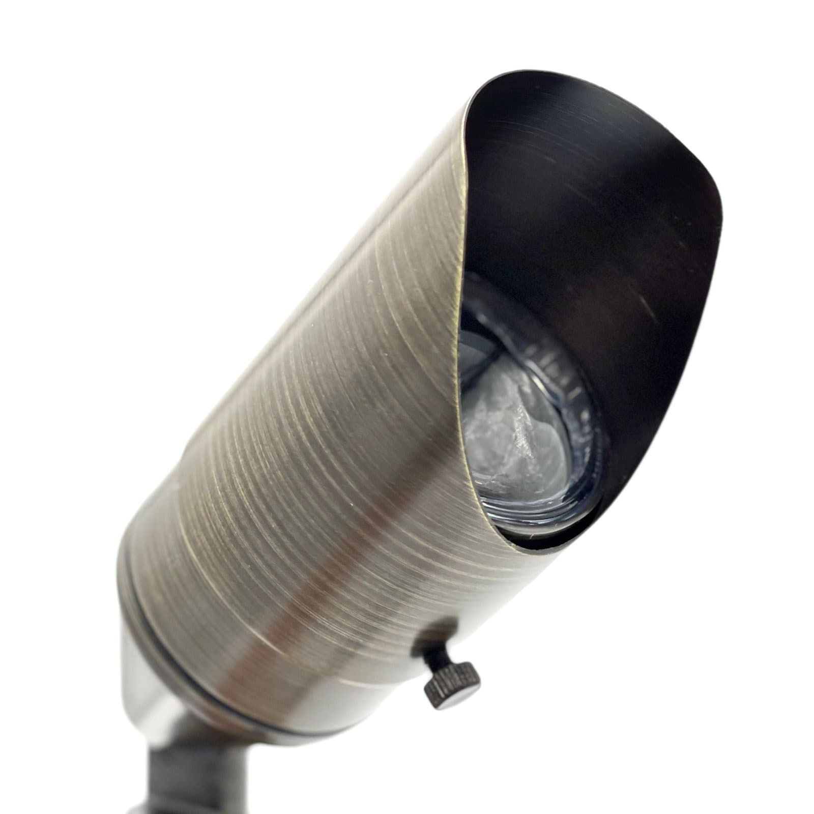 Rein Adjustable Spotlight